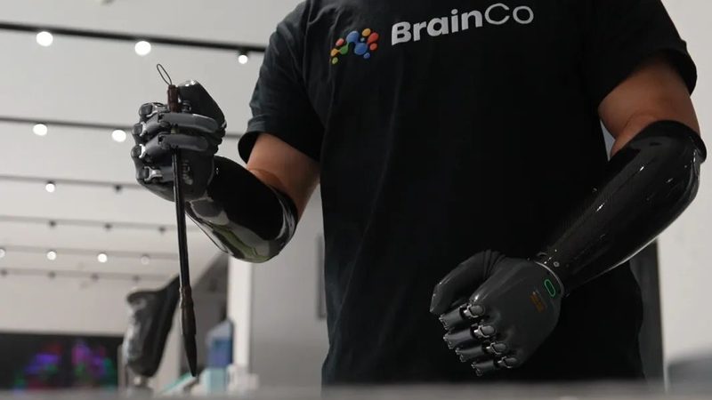 企业搜索软件：如何评估报价单中的关键要素**